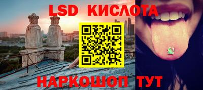 стаф Сланцы