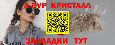 стаф Сланцы