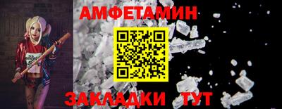 стаф Сланцы