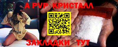 стаф Сланцы