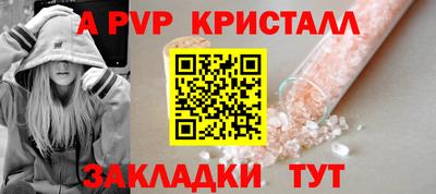стаф Сланцы